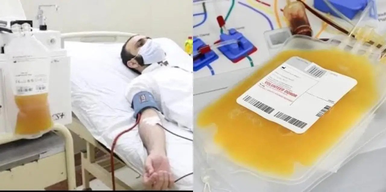 کورونا وائرس کے علاج میں استعمال ہونے والا پلازمہ مہنگے داموں بکنے لگا