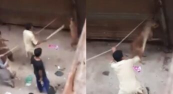 کتے کو باندھ کر لاٹھیوں سے تشدد کا نشانہ بنانے کی ہولناک ویڈیو وائرل