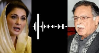 مریم نواز اور پرویز رشید کی صحافیوں سے متعلق مبینہ آڈیو ٹیپ وائرل