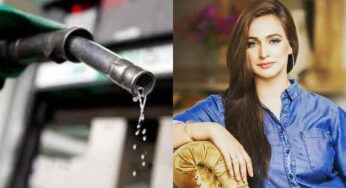 پیڑول کی بڑھتی قیمتوں پر نور بخاری کی بھی حکومت پر تنقید