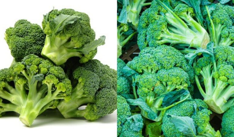 کیا آپ سپر فوڈ سبزی ‘بروکلی’ کے فوائد جانتے ہیں؟