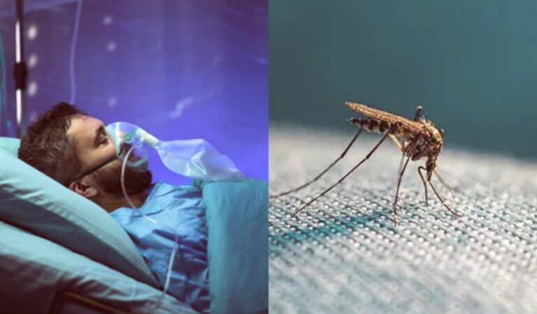 مچھر کے کاٹنے سے ایک شخص کی 30 سرجریاں، 4 ہفتے کوما میں رہا