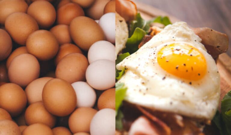 پانچ حیرت انگیز انڈے کھانے کے  فائدے  کیا ہیں؟