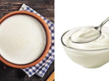 dahi ke faidy