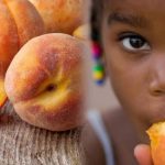 Peach And Our Health
