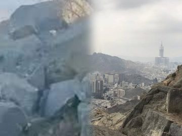 Alien animal in Mecca