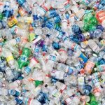 Plastic Bottle Harmful Effects