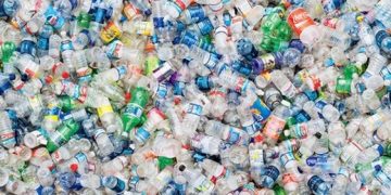 Plastic Bottle Harmful Effects