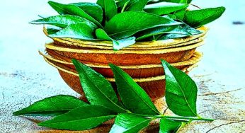 کڑی پتے کے حیران کن فوائد